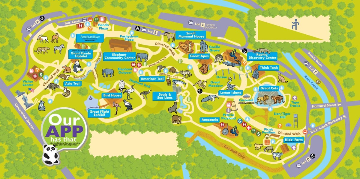 Vaşinqton kart zoo 