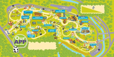 Vaşinqton kart zoo 